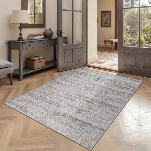 Washbale Rugs 3x5 Ultra Soft Area Rug, Non Slip Indoor Entryway Rugs, Stain Resistant Area Rugs for Living Room Dining Bedroom，Modern Abstract Home Decor Small Rug