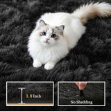 Area Rug Living Room Bedroom: 4x6 Fluffy Plush Shag Carpet Black