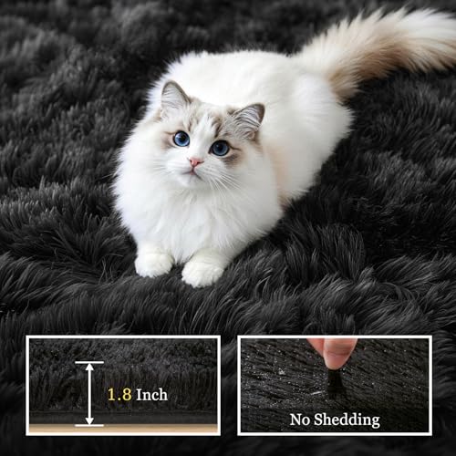 Area Rug Living Room Bedroom: 5x7 Fluffy Plush Shag Carpet Black