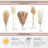 VELOVA Set of 3 White Ceramic Vase with 65 PCS Dried Pampas Grass Flowers Aesthetic Boho Modern Small Round Cute Vases for Decor Living Room Coffee Table Shelf Bedroom Office Desk Home Gifts Women Mom