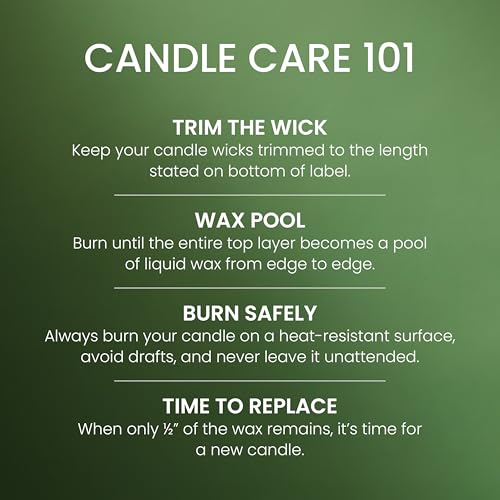 Yankee Candle Balsam & Cedar, Scented Candle, 22oz Large Jar with up to 150 Hour Burn Time, Giftable