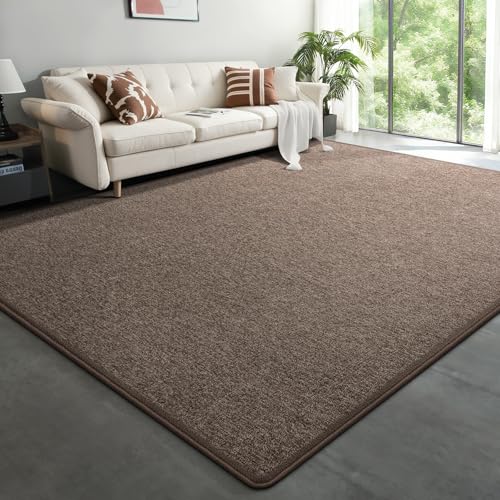 Large Modern Area Rugs for Living Room Bedroom, 7x10 Feet Brown