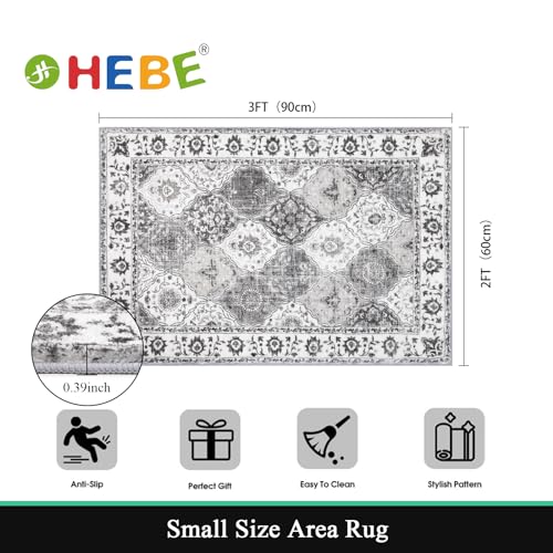 HEBE Indoor Door Mat 2'x3', Washable Welcome Mat for Front Door Entrance