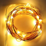 with Timer Function Battery Operated Dewdrop Led Lights,Mini Fairy Lights for Home Parties Christmas/Halloween Holiday Decoration,6 Hours on/18 Hours Off,30 LEDs,10 Feet (Warm White, 1)