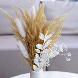 Natural Pampas Grass Dry Flower Bouquet with Boho Decorative Cute Cat Shaped Ceramic Vase for Living Room Bookshelf Dining, Modern European Minimalist Decor, Brown Pampas Bouquet and White Vase