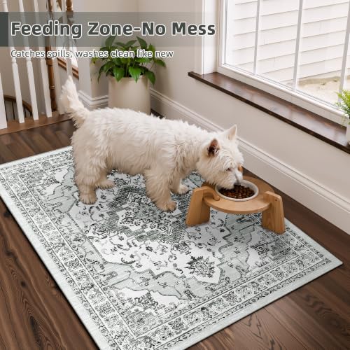 2x3 Washable Entryway Rug, Light Grey