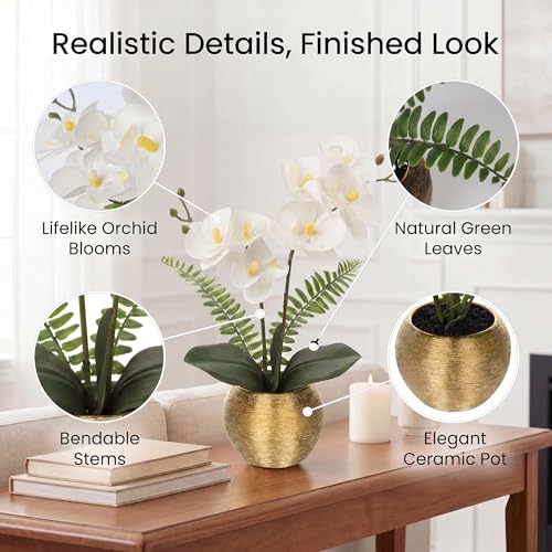 Briful Artificial Orchid Flowers in Gold Ceramic Pot, 13" Small White Faux Phalaenopsis Orchid Floral Arrangement Fake Silk Orchid for Bathroom Vanity Office Desk Shelf Nightstand Home Table Decor