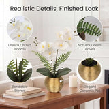 Briful Artificial Orchid Flowers in Gold Ceramic Pot, 13" Small White Faux Phalaenopsis Orchid Floral Arrangement Fake Silk Orchid for Bathroom Vanity Office Desk Shelf Nightstand Home Table Decor