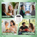 Vanilla Cupcake Scented Candle, Soy Wax 7 oz