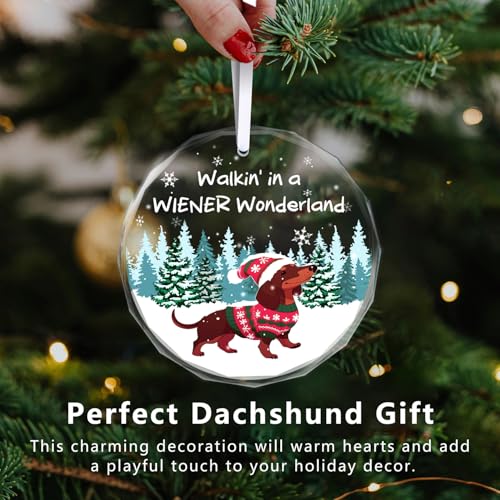 Christmas Ornaments 2025 - Dachshund Christmas Decorations Weiner Dog Decor Dachshund Gifts for Women Glass Christmas Dachshund Ornament with Box