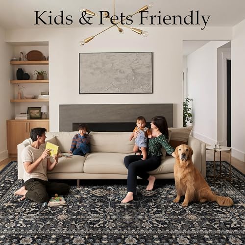 Ruaruarug Washable Area Rug 8x10 for Living Room, Bedroom, Ultra Soft Non Slip Stain & Fade Resistant, Pet & Kids Friendly, Suitable for High Traffic Areas Easy to Clean for Office Kitchen, Black Grey