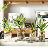 Glass Plant Propagation Stations for Plants – Set of 4(2 Large & 2 Small) Hydroponic Vases for Plant Cuttings,Flower Arrangements, Home & Office Decor–Desktop Vases for Living Room, Bedroom (4)