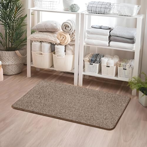 Memory Foam 2x4 Small Runner Rugs for Hallway Entryway Bedroom