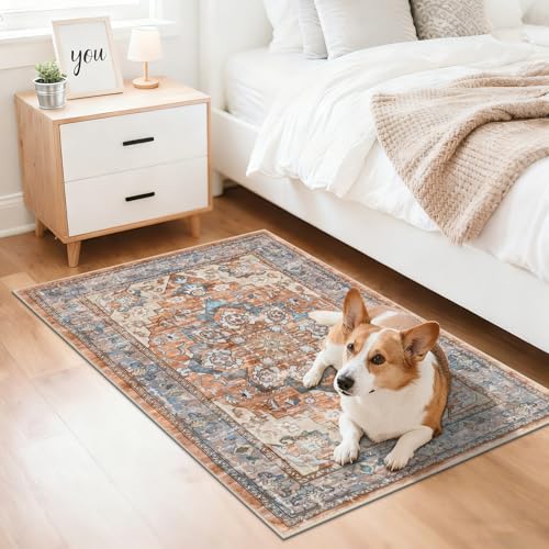 Entryway Rug 2x3 Washable Vintage Soft Floor Mat Non Slip Indoor Entrance Small Rugs Low Pile Area Rug Throw Rugs