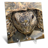 3dRose dc_17658_1 Reptiles Tortoises-Desk Clock, 6 by 6-Inch