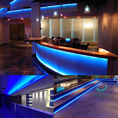 50FT/15M LED Neon Rope Lights, Blue AC110V-120V Neon Strip Light, 8x16mm Connectable Flexible Waterproof SMD2835 120LED/M Indoor Outdoor Light Strips, DIY Lighting Decoration