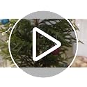 4ft Christmas Norfolk Pine Tree Artificial Christmas Tree Faux Potted Plants for Front Porch Christmas Indoor Outdoor Decor