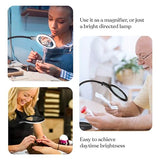 Brightech LightView Pro Flex 2 in 1 Magnifying Desk Lamp, 2.25x Light Magnifier, Adjustable Gooseneck Magnifying Glass with Light for Crafts, Reading, Close Work