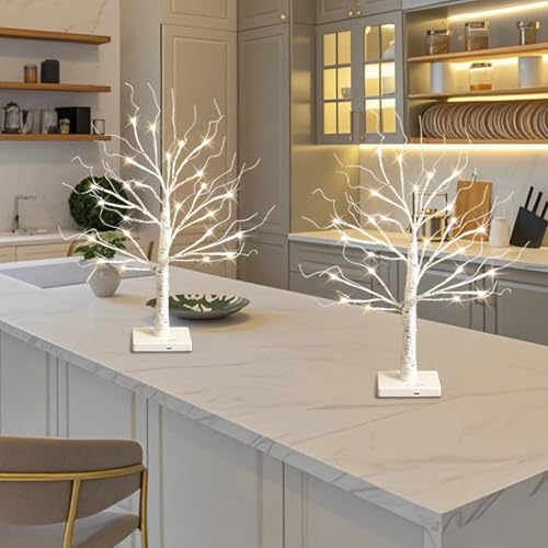 White Birch Tree with LED Lights, Lighted Birch Tree for Tabletop, USB/Battery Operated 24 LED Warm White Tree, 2FT Mini Christmas Tree Decor for Indoor Home Christmas Decorations (2 Pack, Timer)