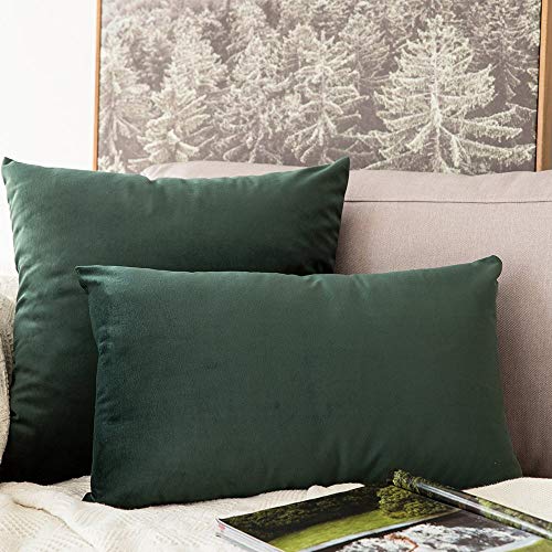 MIULEE Velvet Soft Soild Decorative Square Throw Pillow Cover and Throw Pillow Insert Hypoallergenic Premium Pillow 12 x 20 Inch 30 x 50 cm Army Green