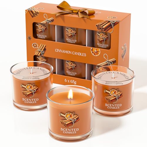 CHILLFLAME Cinnamon Candle, Scented Candles Gifts for Women, Candles Gift Set for Her, 6 Scented Fall Candles, Cinnamon Candle Gifts for Women/Men (Orange, 14 oz)
