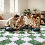 Area Rugs for Bedroom Living Room,4x6 Green and White Fluffy Soft Checkered Rug Fuzzy Shag Shaggy Carpet,Indoor Plush Floor Rugs for Teen Dorm Home Decor
