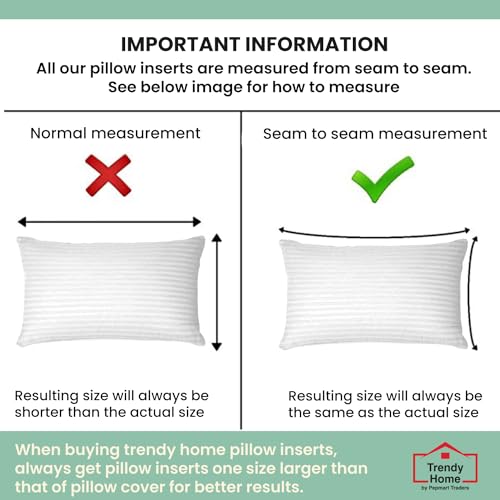 Trendy Home 12x20 Throw Pillow Insert (Pack of 2, White), Bed and Couch Pillows Stuffer Hypoallergenic, Lumbar Support Decorative Home Outdoor Pillow Filler (Machine Wash, 2 Pack)