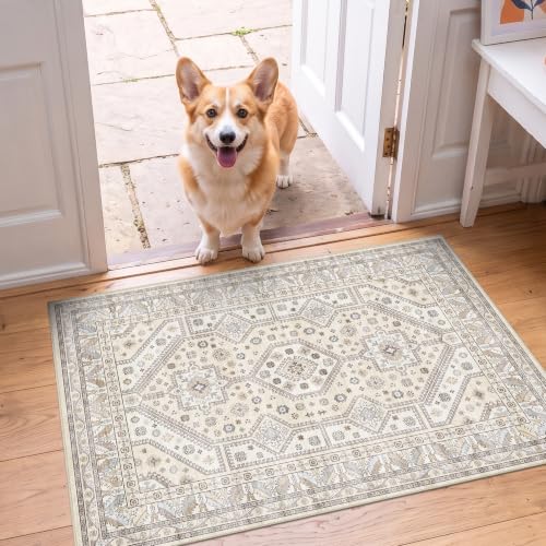 2x3 Washable Area Rug: Non-Slip Soft Vintage Entryway Door Mat