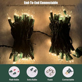 HISHINY Christmas Lights 100 Count Clear Christmas Tree Lights String with Green Wire for Outdoor Indoor Christmas Decorations Wedding Decorations Valentines Day Decor,UL Certified (21feet)