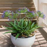 8 Bundles Artificial Flowers Plants for Outdoor Planters | 18.9 in Purple Large Fake Flowers | Spring Summer Look Real Plasic Faux Plant for Front Porch Pathway Garden Patio (Purple)