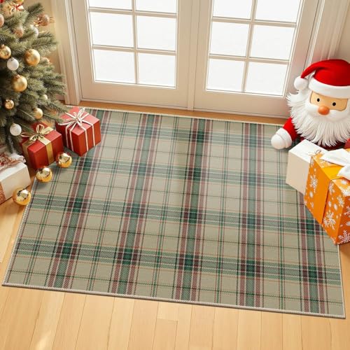 Green Christmas Rug 2x3, Washable Rug for Entryway, Checkered Plaid
