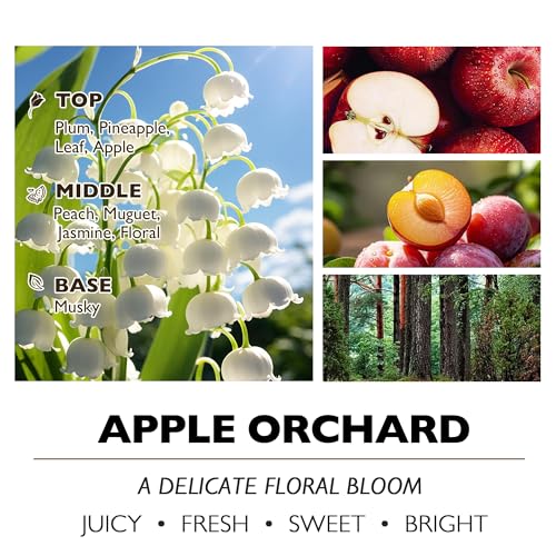 Home Lights Soy Wax Candles for Home Scented, 4-Wick Candles in Apple Orchard Scented, Aromatherapy Candles Gift for Parties, Relaxing, Eclectic Mixed Styles, 18oz