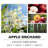 Home Lights Soy Wax Candles for Home Scented, 4-Wick Candles in Apple Orchard Scented, Aromatherapy Candles Gift for Parties, Relaxing, Eclectic Mixed Styles, 18oz