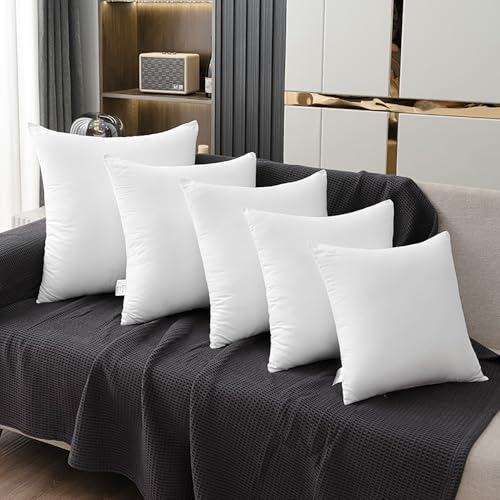 Bedding Throw Pillows for Sofa, Bed Couch Decorative Stuffer Pillow Throw Pillow Insert, Alternative Decorative Pillow (20x20 inch,2)