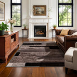 3x5 Washable Area Rugs for Living Room and Bedroom(3x5,Chocolate)