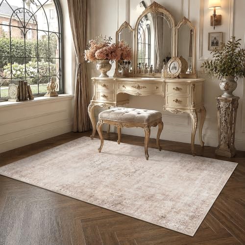 HelloTree 4x6 Vintage Washable Non-Slip Low Pile Area Rug