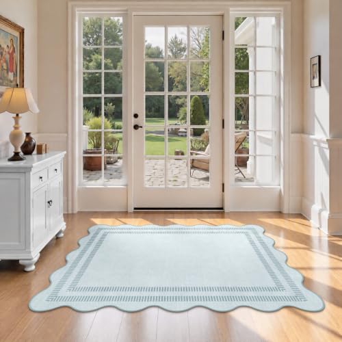 Washable 3x5 Indoor Entryway Rug