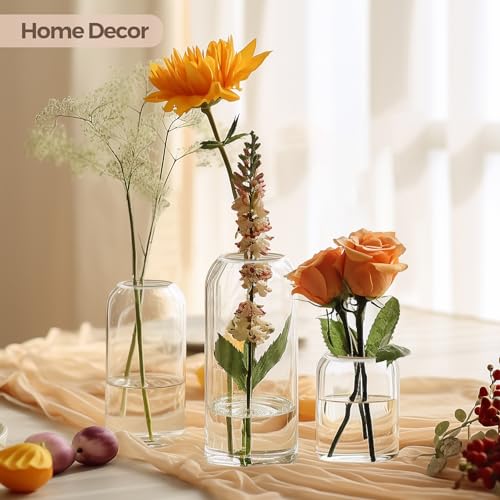 ComSaf Small Flower Vase Set of 12, Glass Bud Vases in Bulk, Clear Vases for Flower, Decor Centerpiece for Bathroom, Decorative Vases for House Warming, Valentines' Day, Mother's Day, Thanksgiving Day