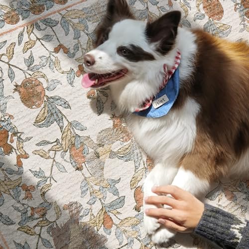 jinchan 5x7 Floral Vintage Washable Living Room Area Rug, Orange