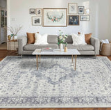 8x10 Area Rugs,Large Rugs for Living Room(Blue)