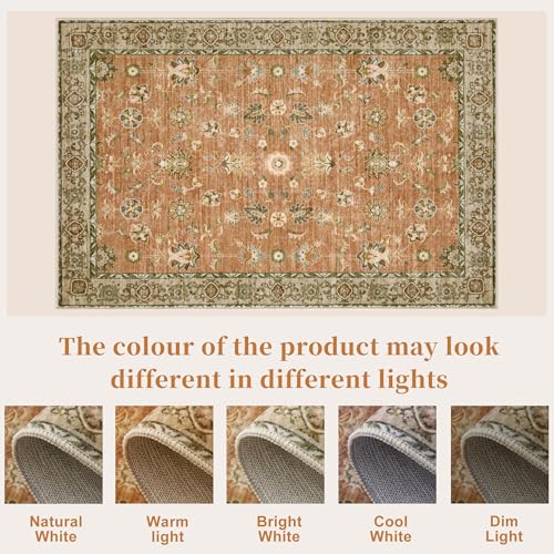 Tangsoo Small 2x3 Washable Entryway Rug,Vintage Terracotta Rug Non Slip