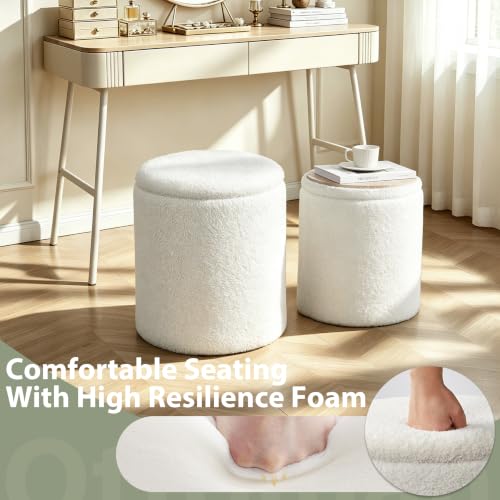 Round Ottoman with Storage Set of 2, Storage Vanity Stool