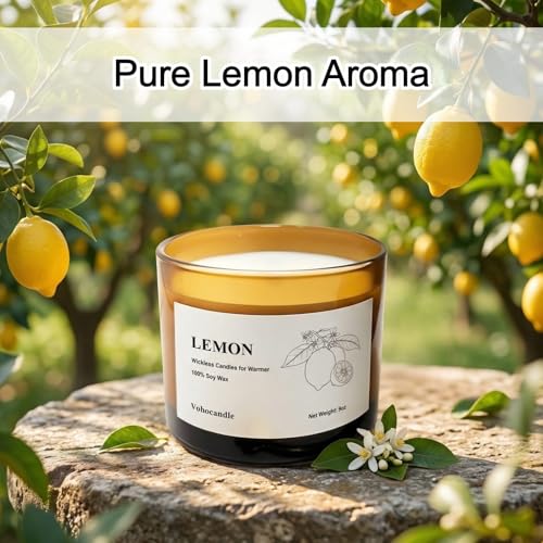 Lemon Wickless Candles for Candle Warmer Lamp, 9oz Soy Candles Scented