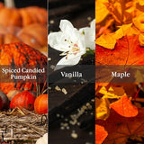 Aromatique Pumpkin Spice Fragrant Refresher Oil .5 fl oz
