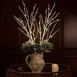 Birchlitland Lighted Birch Branches 32IN 100 LED with Timer Battery Operated, Artificial Tree Branch with Warm,Willow Branch Lights for Home Bedroom Fireplace Christmas Holiday Decoration