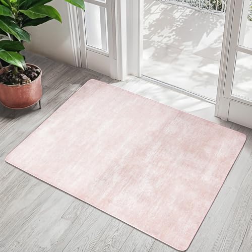 2x3 Washable Mat,Small EntryWay Rugs,Stainproof Non-Slip for Indoor Entranc