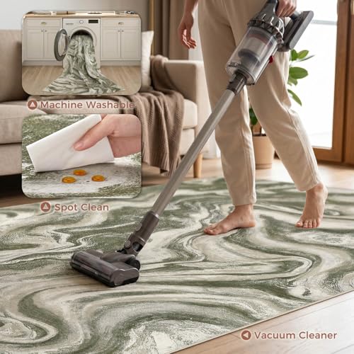 5x7 Area Rug for Living Room Washable Abstract Indoor Carpet