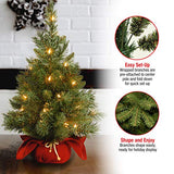 National Tree Company 24 in Pre-Lit Majestic Fir Mini Artificial Christmas Tree, 35 Clear Lights, 71 Tips, Red Cloth Base, Green