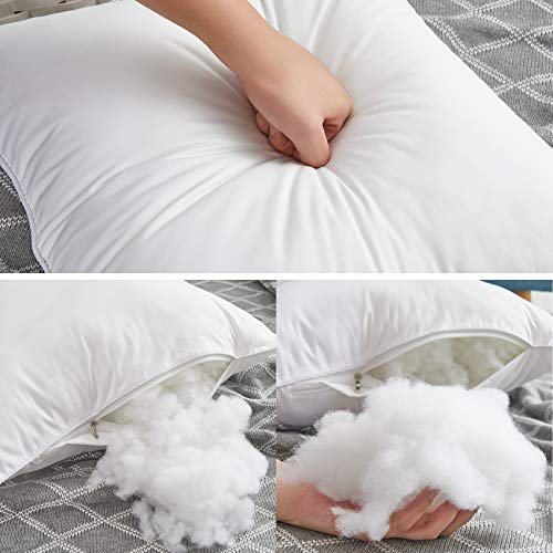 Oubonun 20 x 20 Throw Pillow Inserts (Set of 2) & 22 x 22 Pillow Inserts (Set of 2)