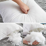 Oubonun 20 x 20 Throw Pillow Inserts (Set of 2) & 22 x 22 Pillow Inserts (Set of 2)